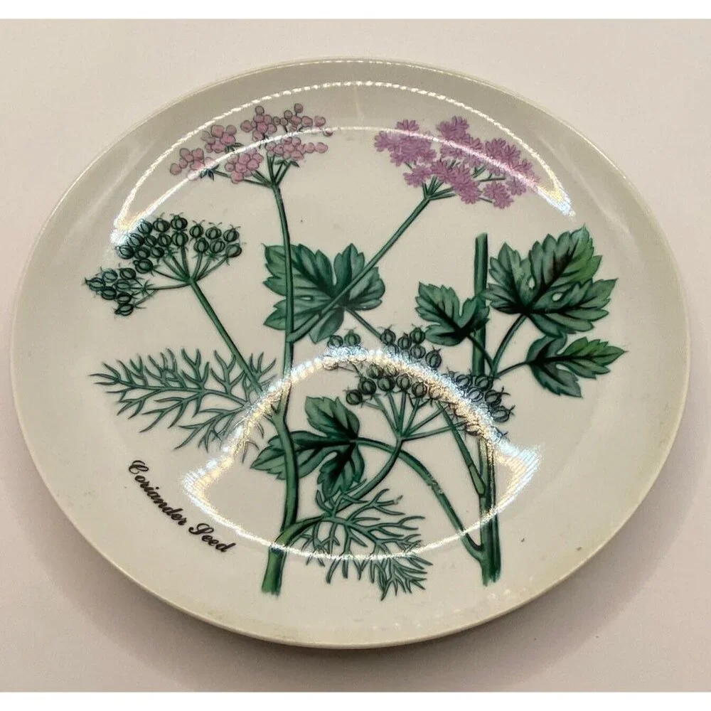 Vtg Shafford botanical 5 porcelain‎ salad plates herbs seeds poppy ginger Japan